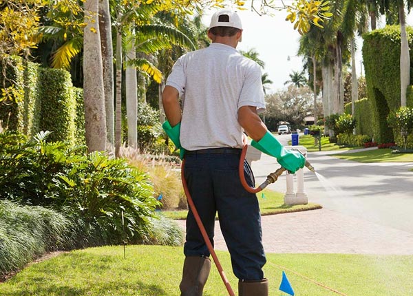 About East Newport ME Pest Control Pros